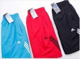 Bermuda Adidas